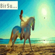BirSu...